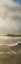 Picture of GOLDEN SEA 3