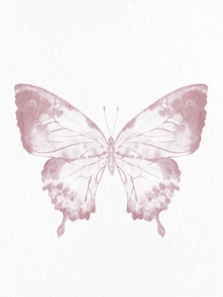 Picture of PRESSED BUTTERFLY 1