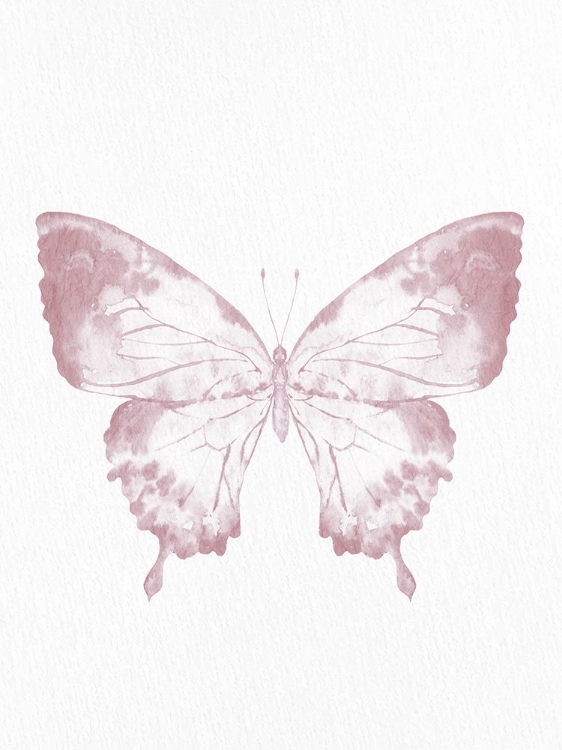 Picture of PRESSED BUTTERFLY 1