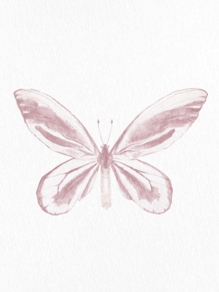 Picture of PRESSED BUTTERFLY 2