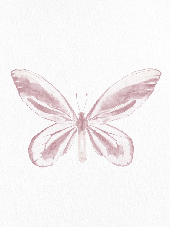Picture of PRESSED BUTTERFLY 2