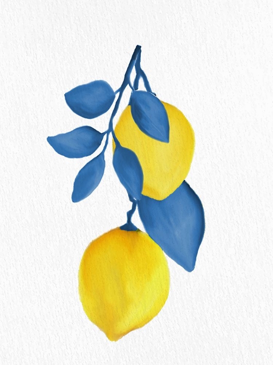 Picture of LEMON VINE 2