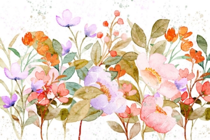 Picture of WILDFLOWER SPOTTED