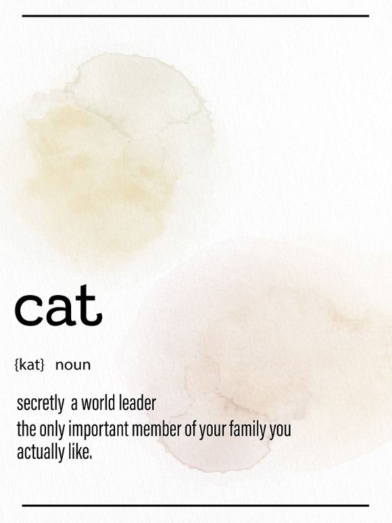 Picture of CAT DEFINITION