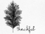 Picture of THANKFUL BLACK AND WHITE