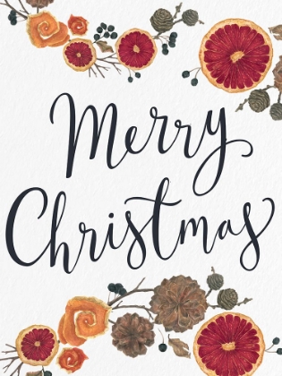 Picture of MERRY CHRISTMAS DRIED FRUIT