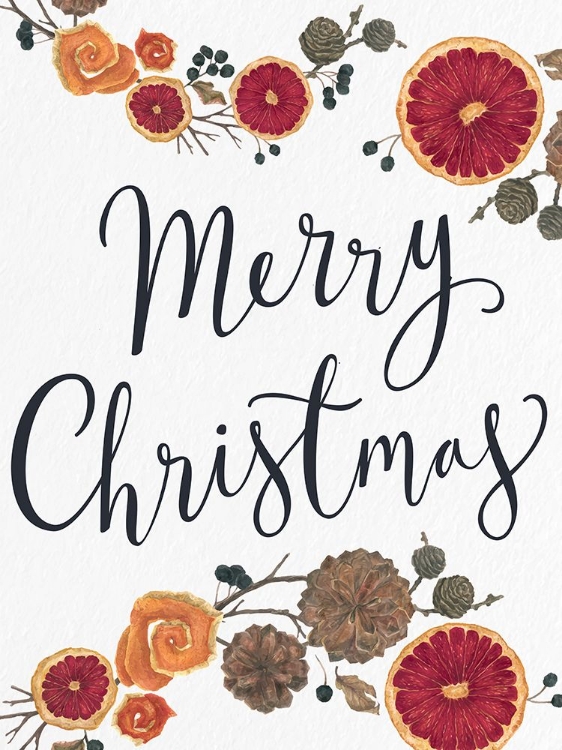 Picture of MERRY CHRISTMAS DRIED FRUIT
