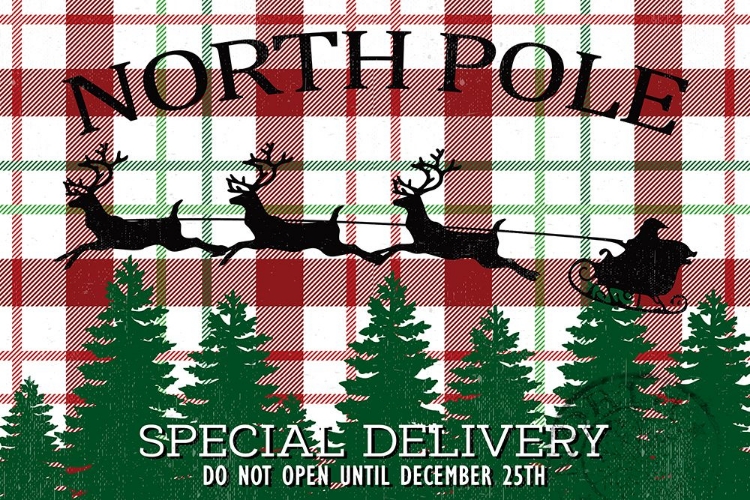 Picture of NORTH POLE