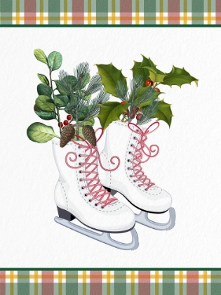 Picture of WINTER SKATE