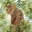 Picture of BIG CATS 3