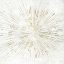 Picture of LIGHT OF DAY 1