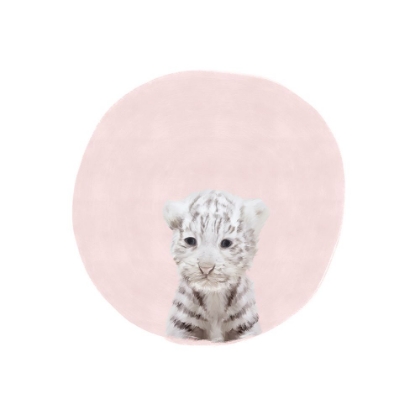 Picture of BABY WHITE TIGER PINK