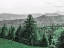 Picture of MOUNTAIN BEAUTY