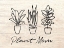 Picture of PLANT MOM ILLUSTRATION