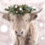 Picture of HIGHLAND COW