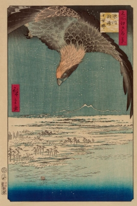Picture of HAWK FLYING ABOVE A SNOWY LANDSCAPE ALONG THE COASTLINE., 1857