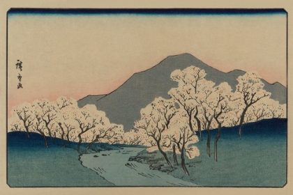 Picture of A GROVE OF CHERRY TREES (SAKURA NAMIKI ZU), 1900