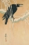 Picture of BLACKBIRD IN SNOW, 1885