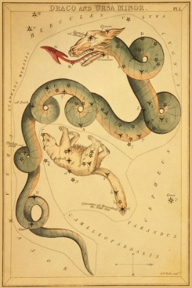 Picture of DRACO AND URSA MINOR, 1825