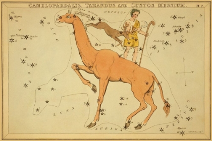 Picture of CAMELOPARDALIS, TARANDUS AND CUSTOS MESSIUM, 1825