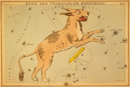 Picture of LYNX AND TELESCOPIUM HERSCHILII, 1825