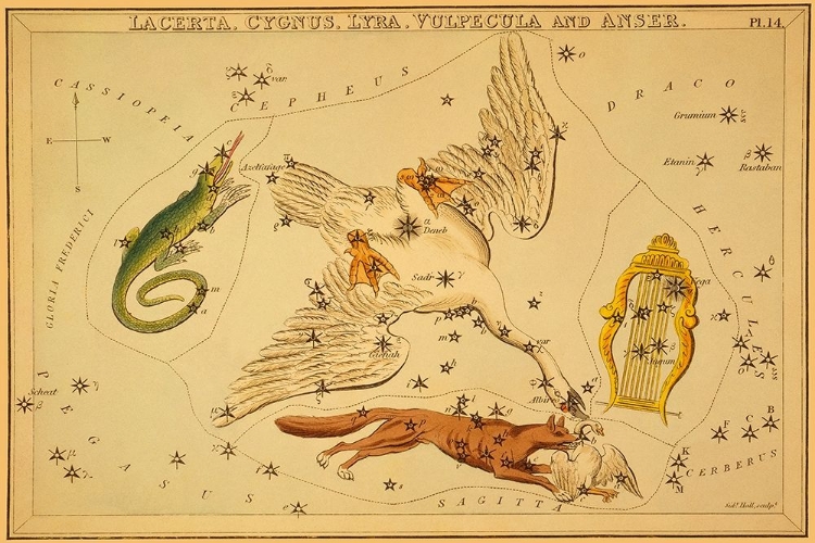 Picture of LACERTA, CYGNUS, LYRA, VULPECULA AND ANSER, 1825
