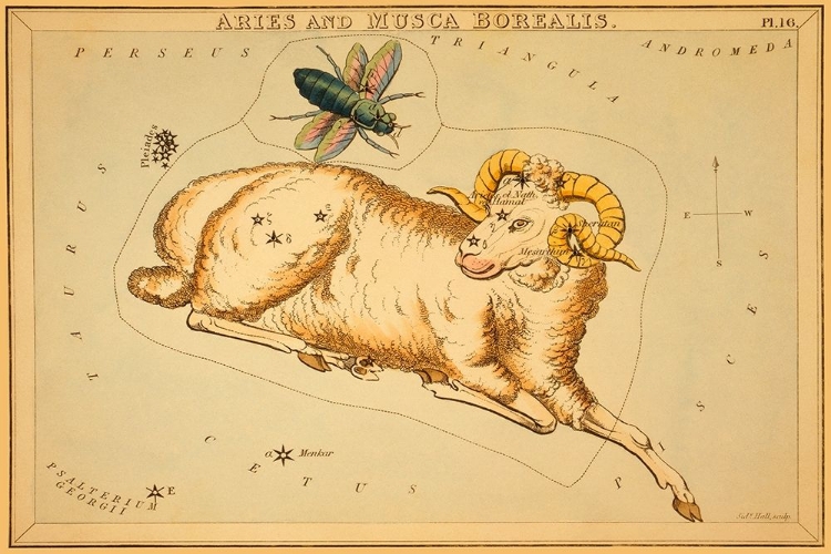 Picture of ARIES AND MUSCA BOREALIS, 1825