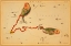 Picture of PISCES, 1825