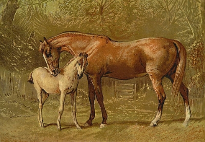 Picture of THOROUGHBRED MARE AND FOAL, 1900