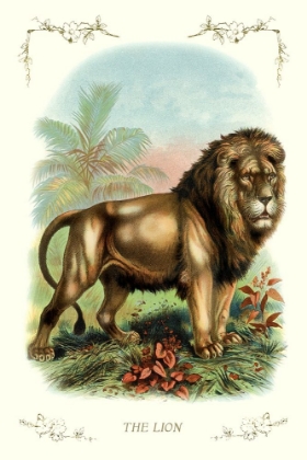 Picture of THE LION, 1900