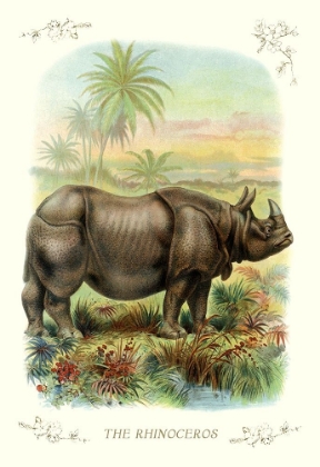 Picture of THE RHINOCEROS, 1900