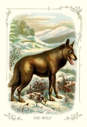 Picture of THE WOLF, 1900