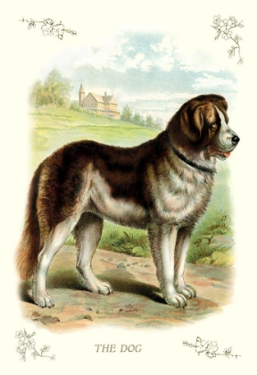 Picture of THE DOG, 1900