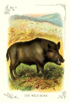 Picture of THE WILD BOAR, 1900