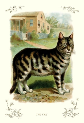 Picture of THE CAT, 1900