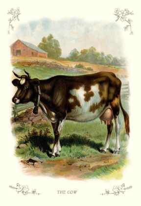Picture of THE COW, 1900