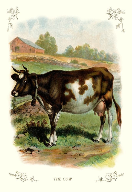 Picture of THE COW, 1900