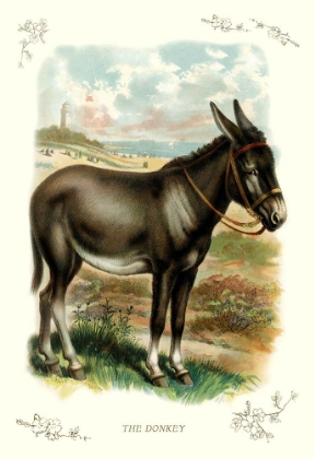 Picture of THE DONKEY, 1900