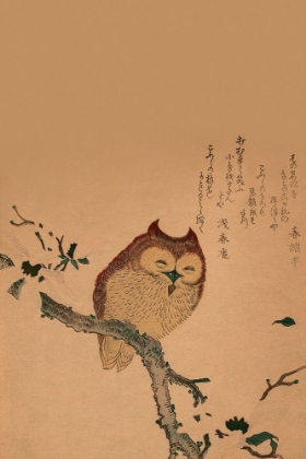 Picture of OWL OF BRANCH