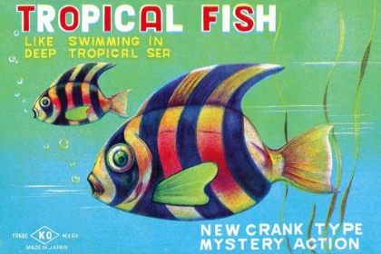 Picture of TROPICAL FISH