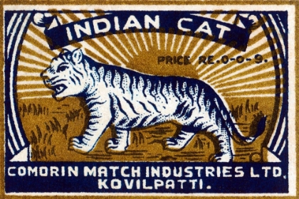 Picture of INDIAN CAT