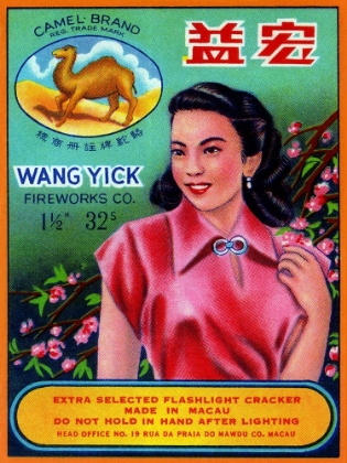 Picture of WANG YICK FIREWORKS