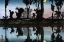 Picture of MOONLIGHT ON THE VIGA CANAL
