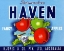 Picture of HAVEN