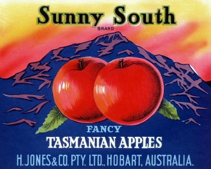 Picture of SUNNY SOUTH TASMANIAN APPLES