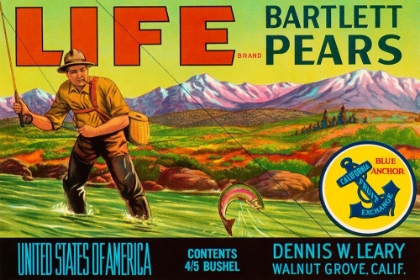 Picture of LIFE BRAND BARTLETT PEARS