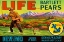 Picture of LIFE BRAND BARTLETT PEARS