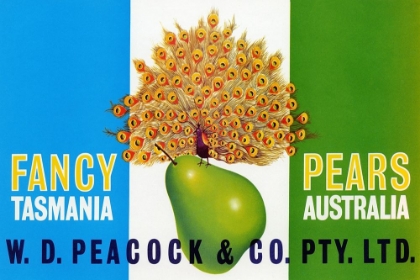 Picture of PEACOCK PEARS