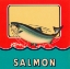 Picture of SALMON