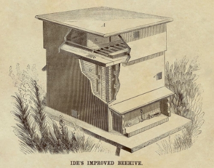 Picture of IDES IMPROVED BEEHIVE
